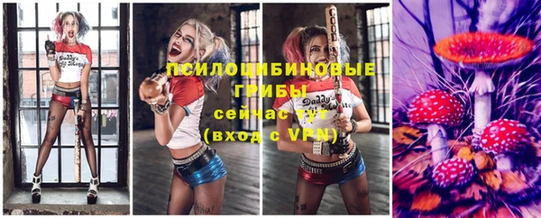 ГАЛЛЮЦИНОГЕННЫЕ ГРИБЫ Нефтегорск