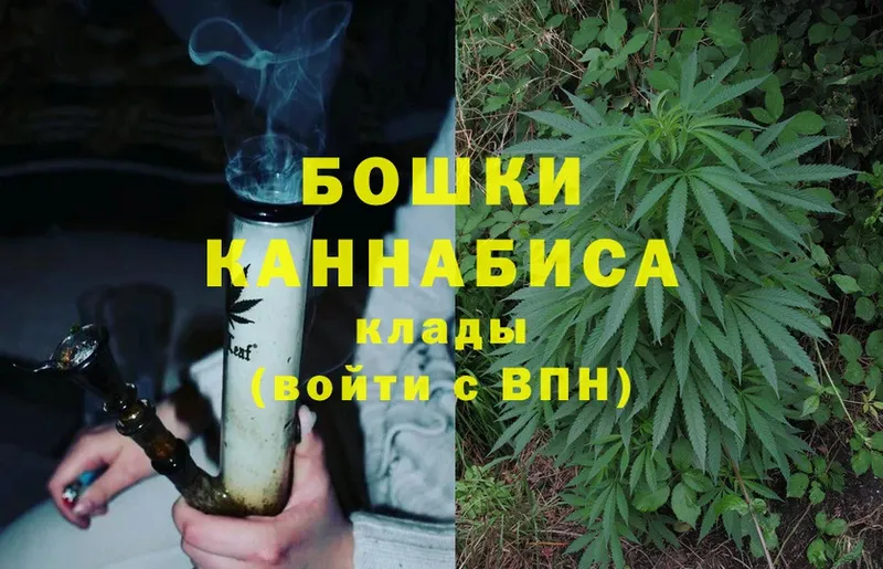 Канабис OG Kush  Остров 